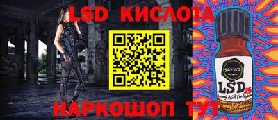 СК Кулебаки