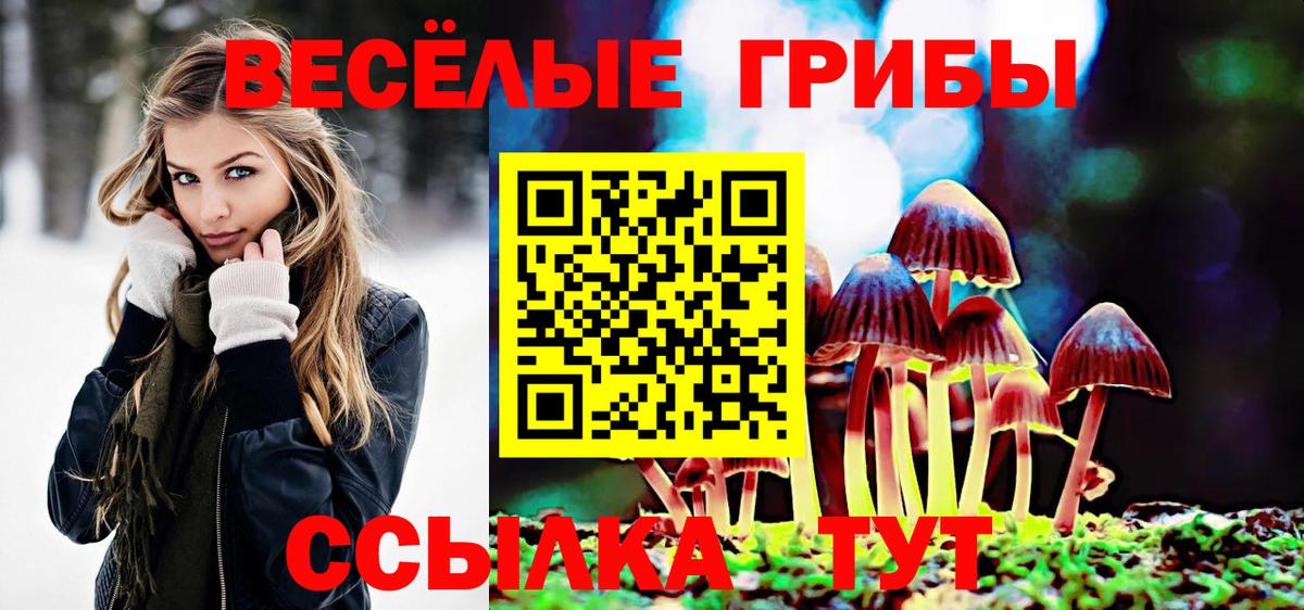 Псилоцибиновые грибы GOLDEN TEACHER  Вход с VPN  Казань 